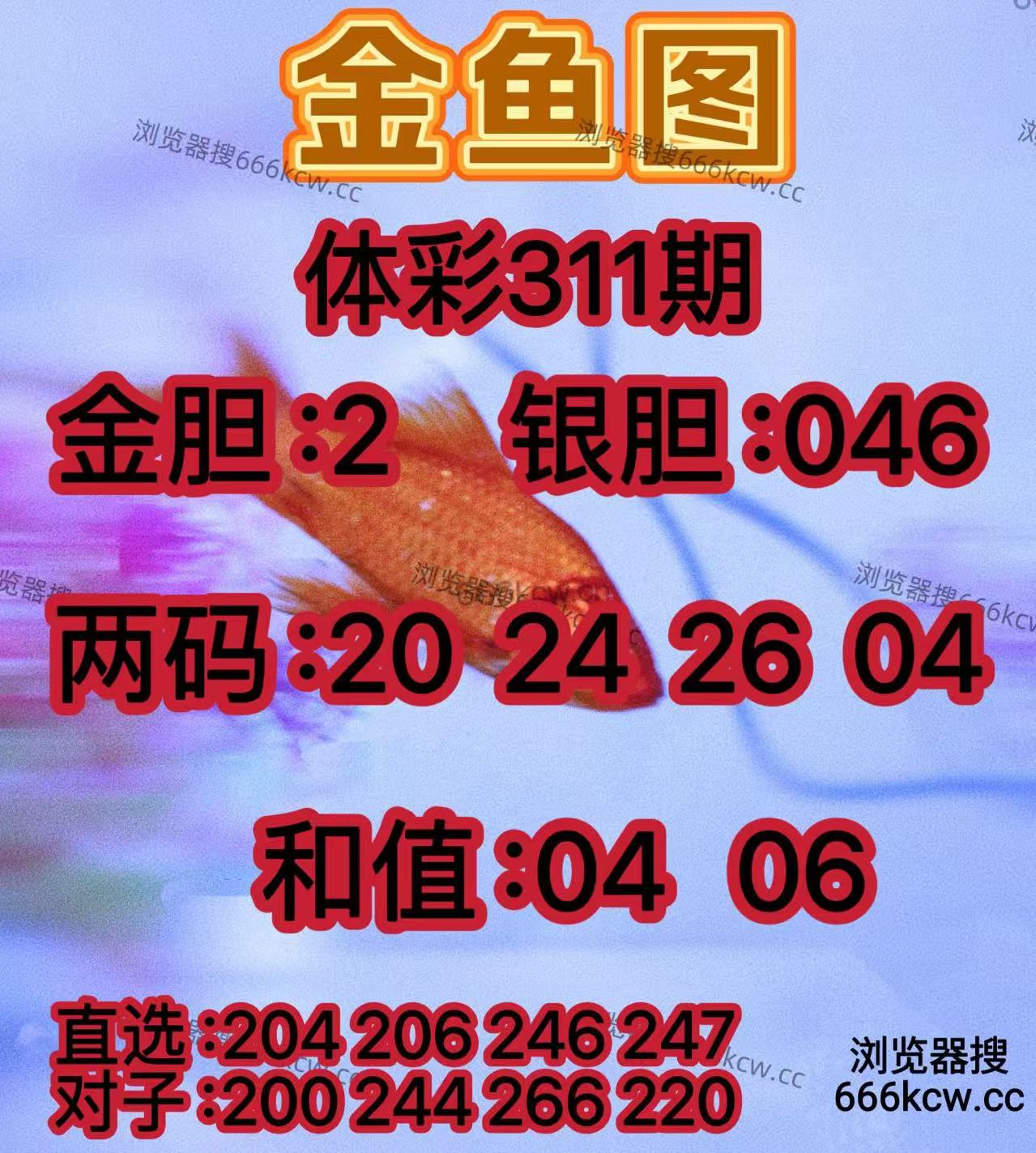 20251121 (18)