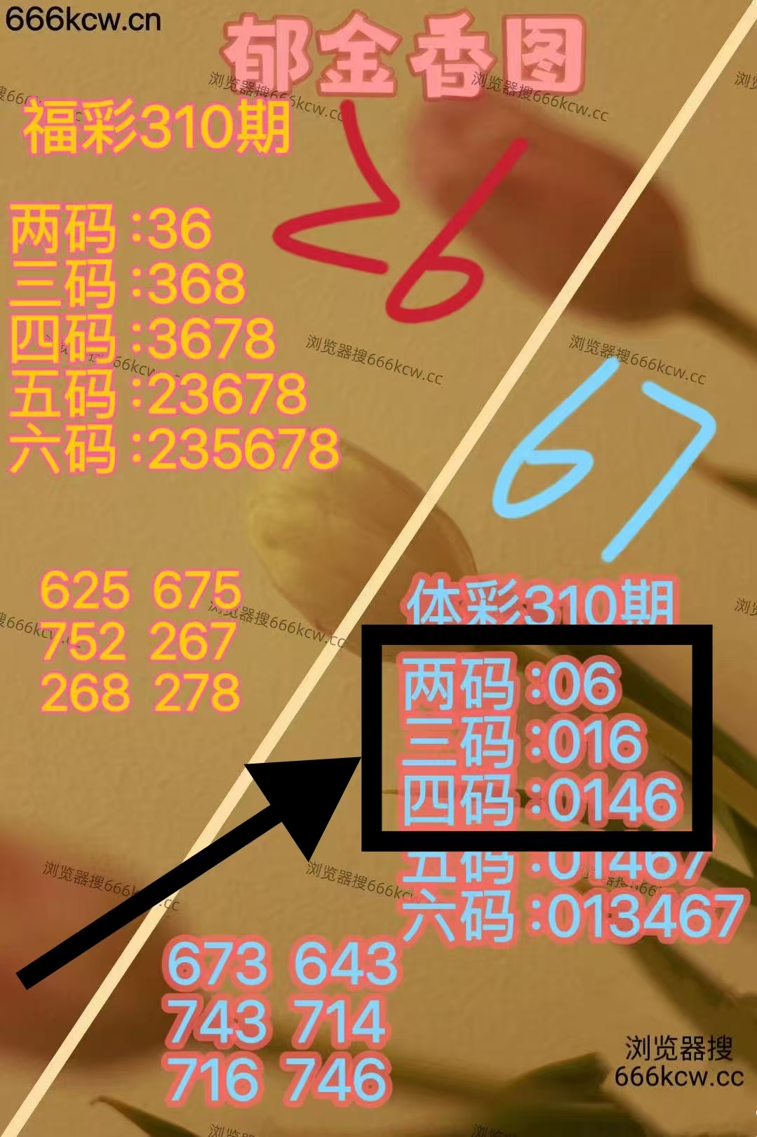 微信图片_20251121010238_2440_1