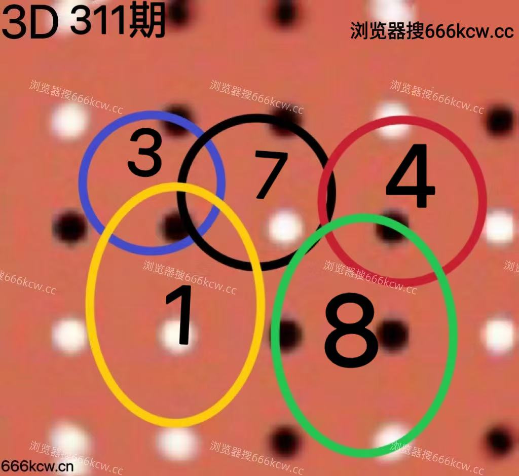 20251121 (5)