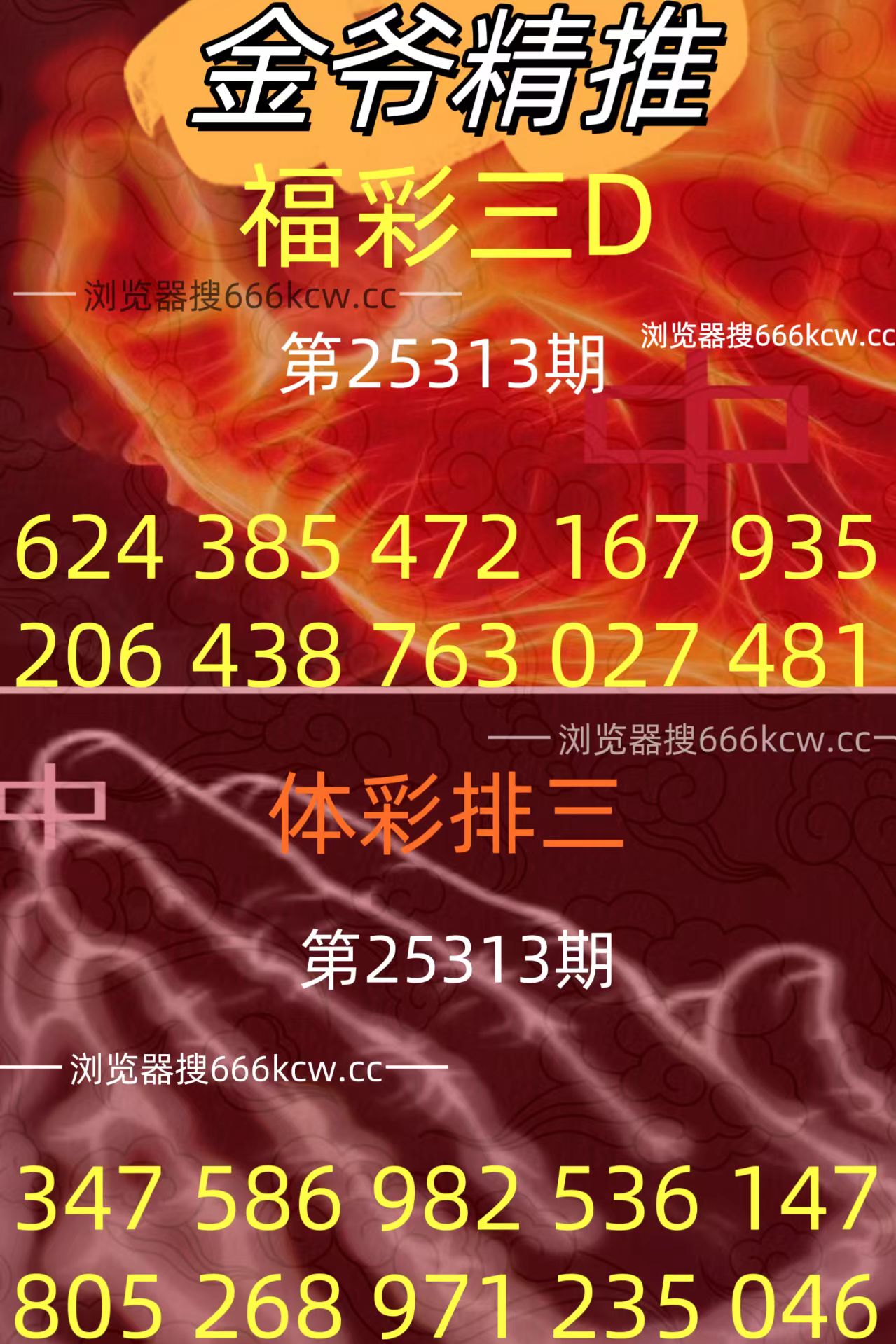 20251123 (35)