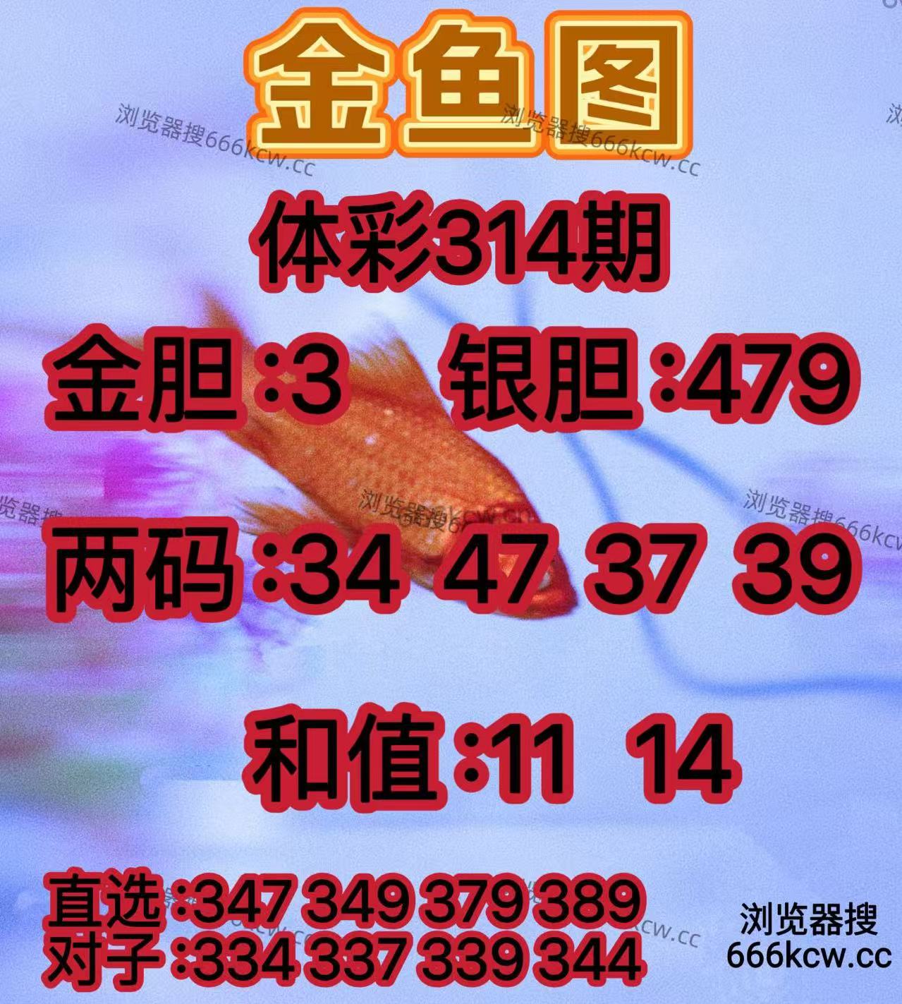 20251124 (18)