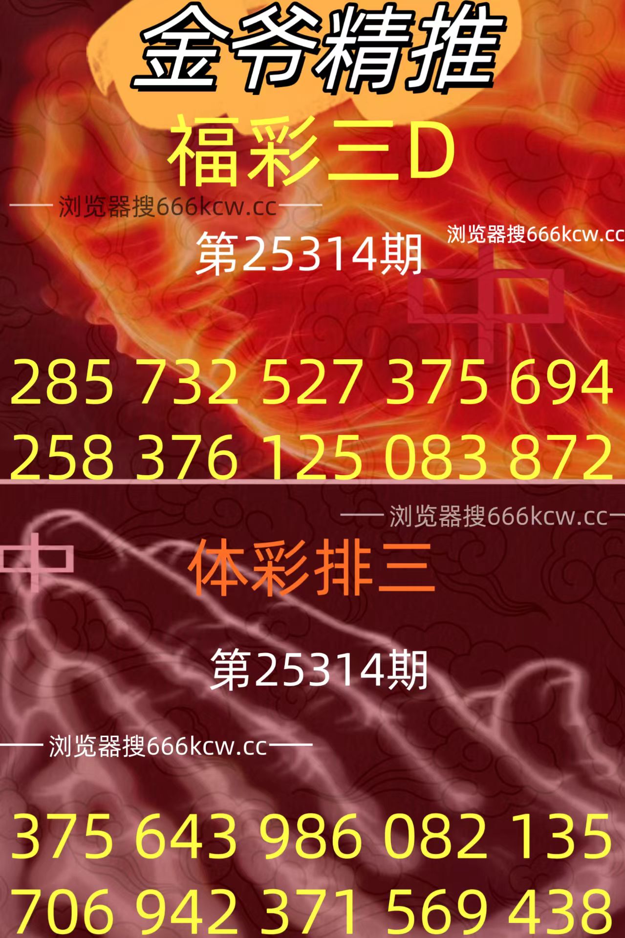 20251124 (25)