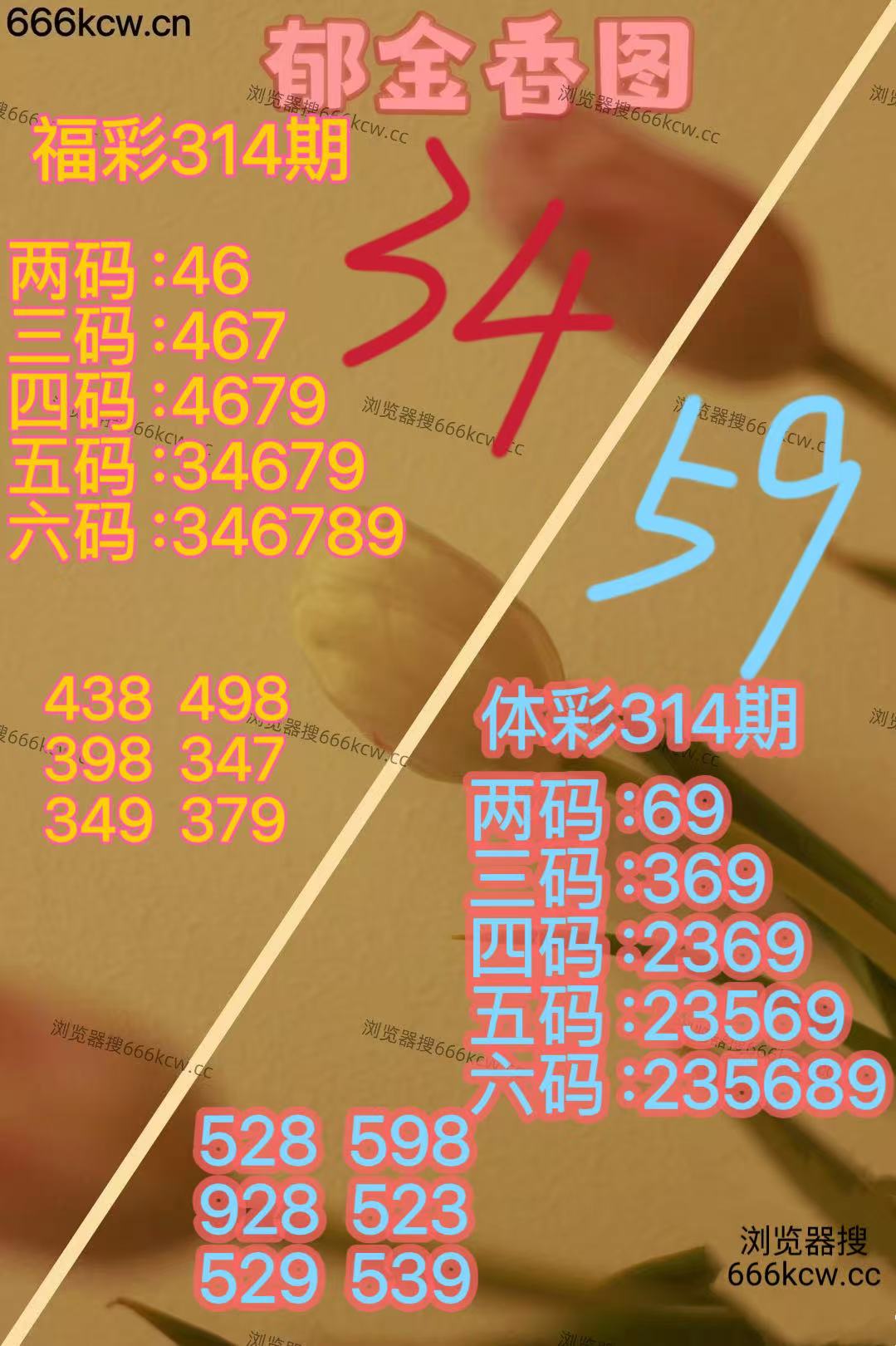 20251124 (23)