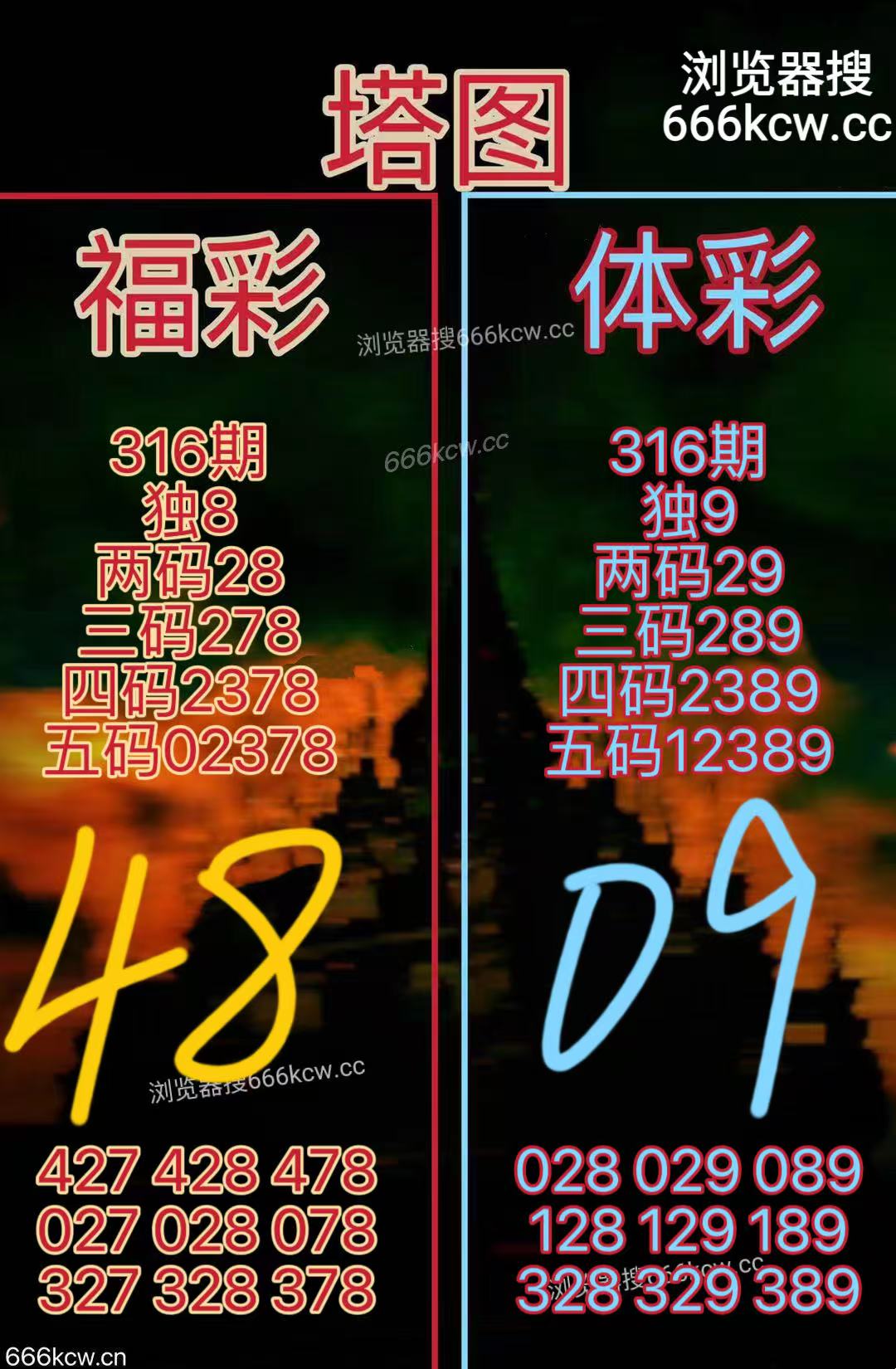 20251126 (23)