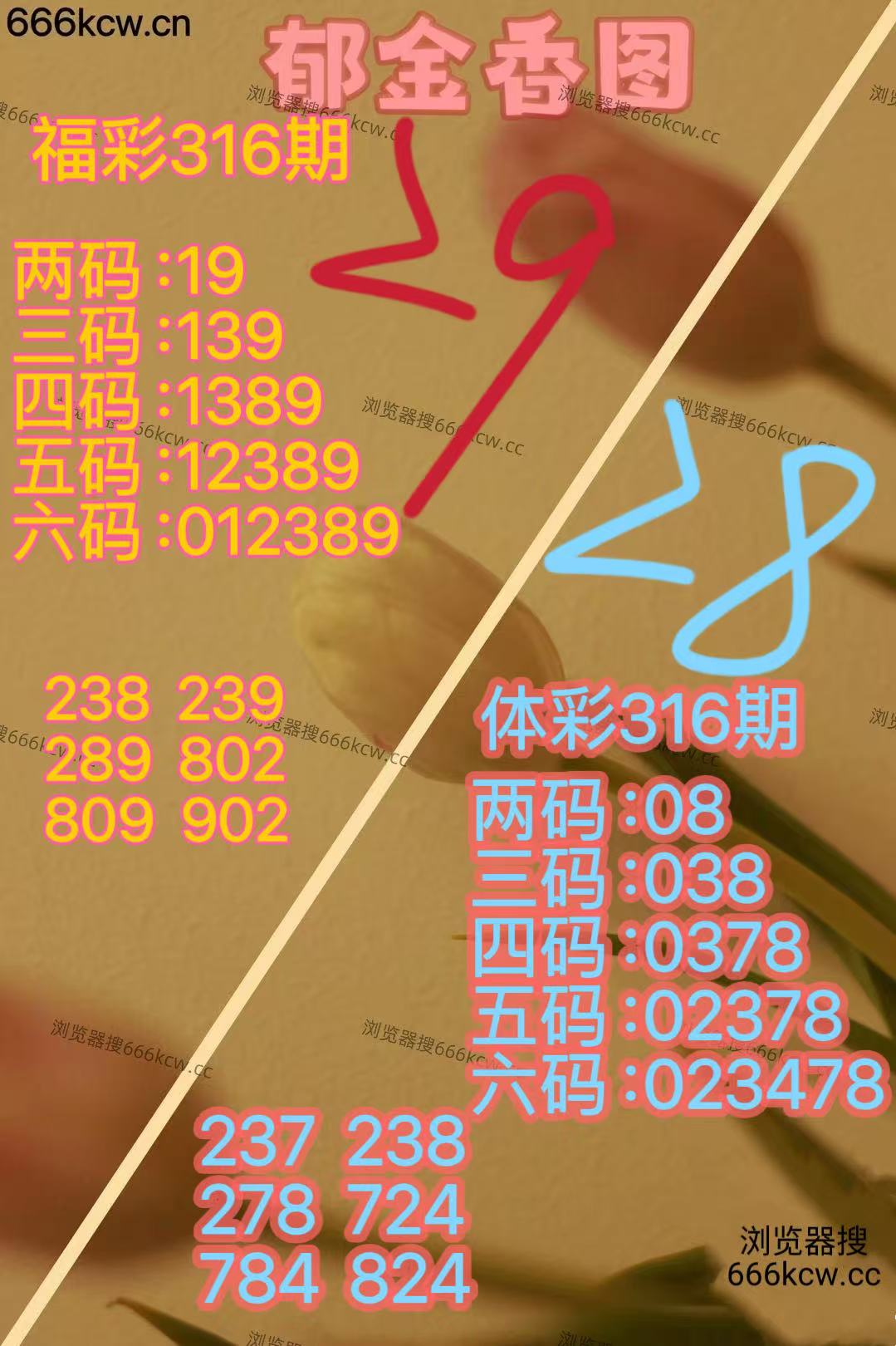 20251126 (22)