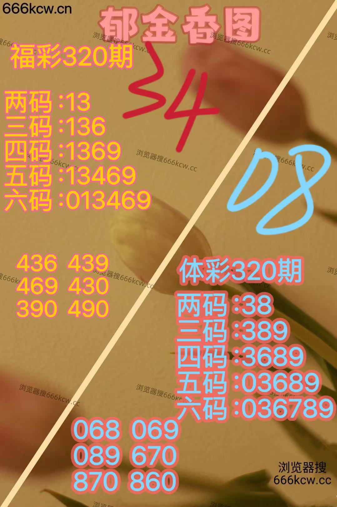 20251130 (23)