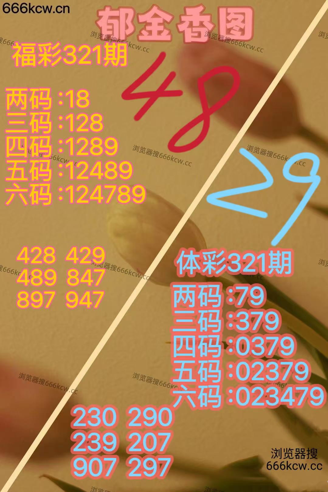 20251201 (23)