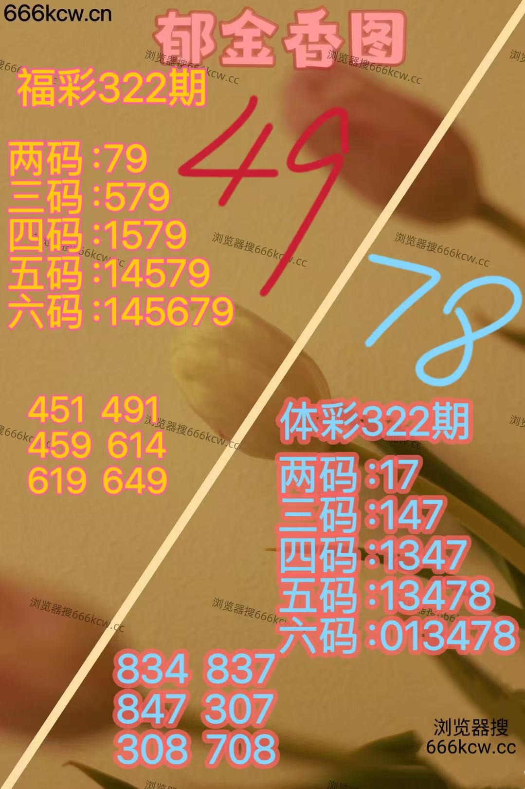 2025120202 (41)