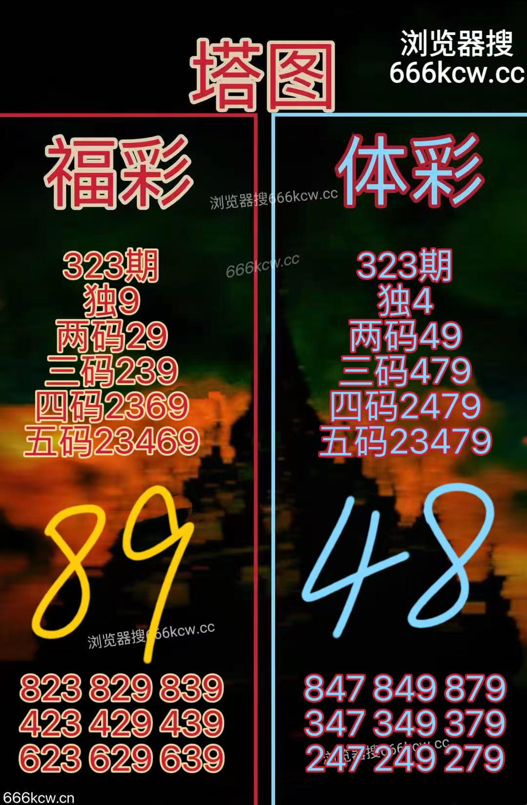 20251203 (24)