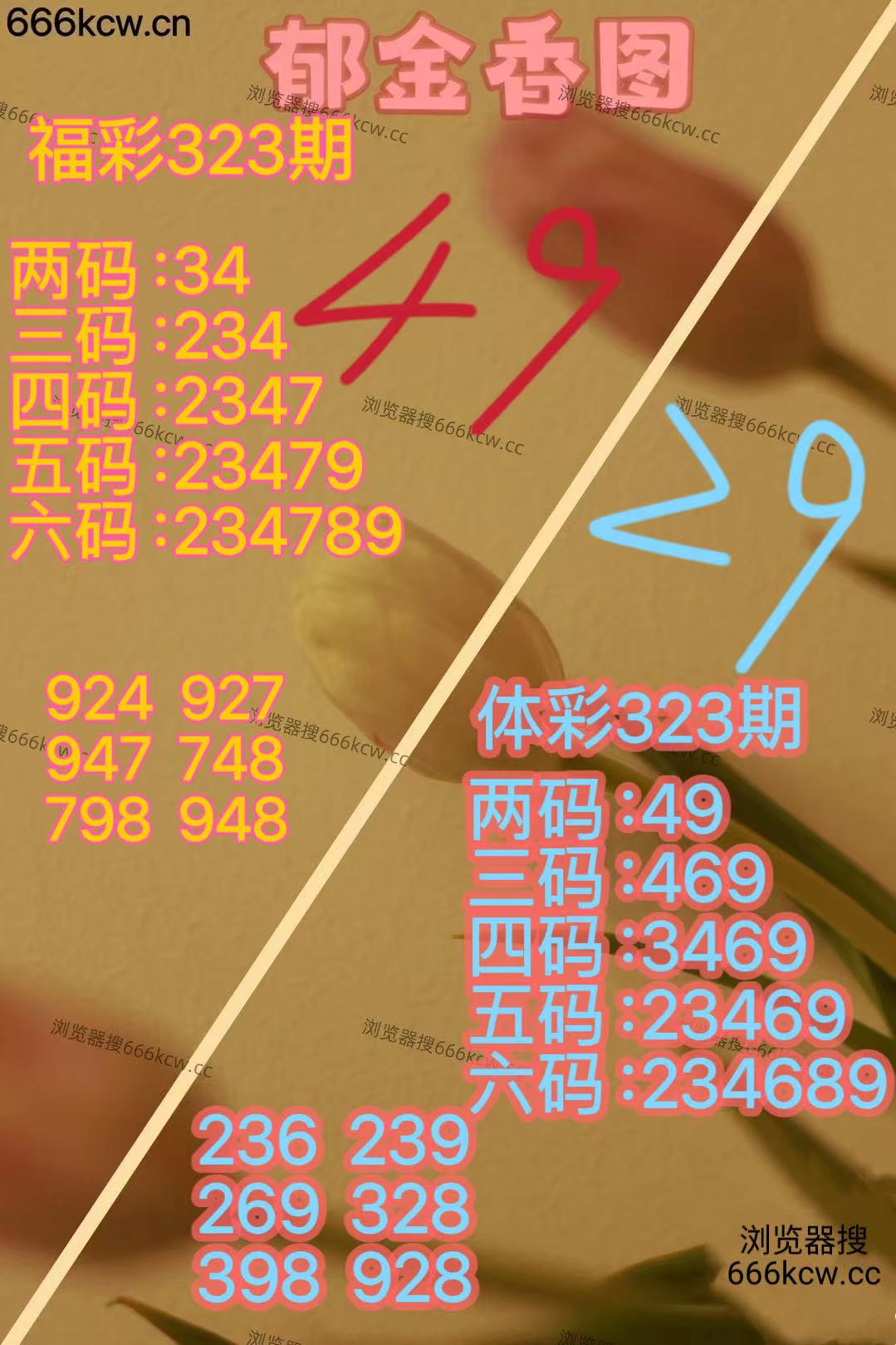 20251203 (23)