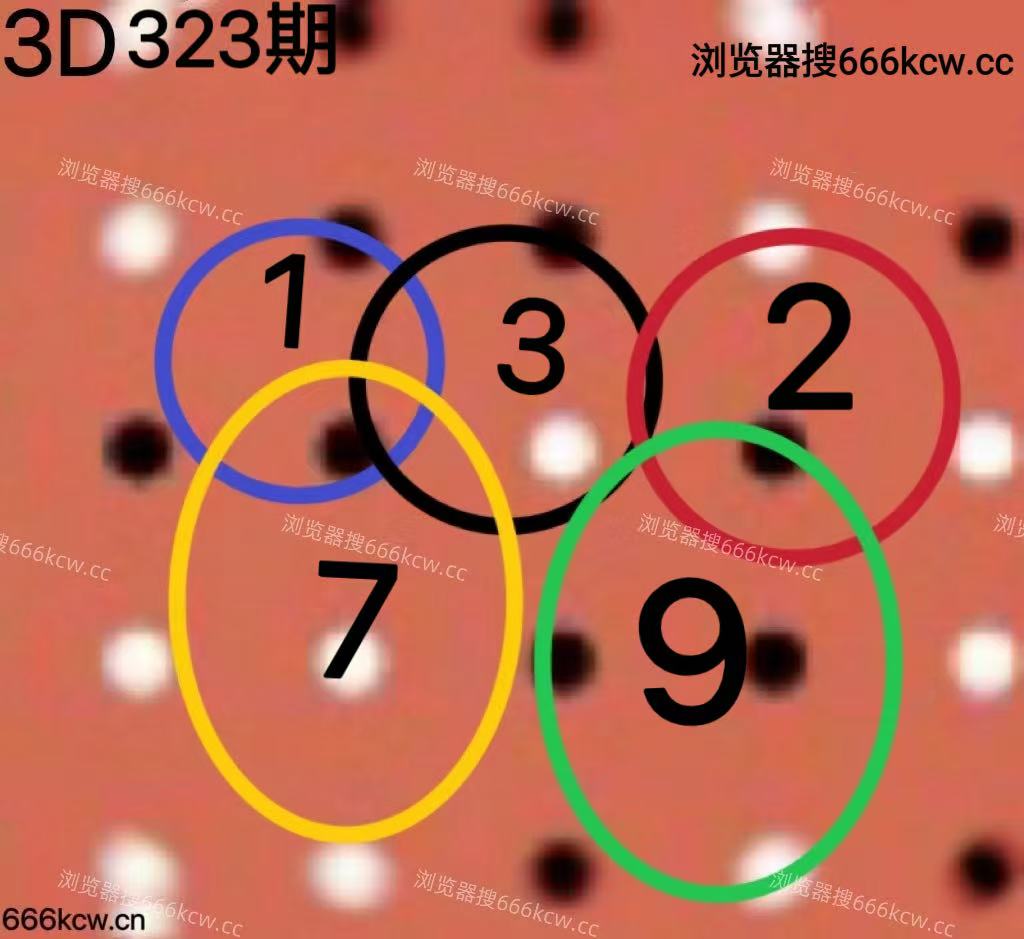 20251203 (4)