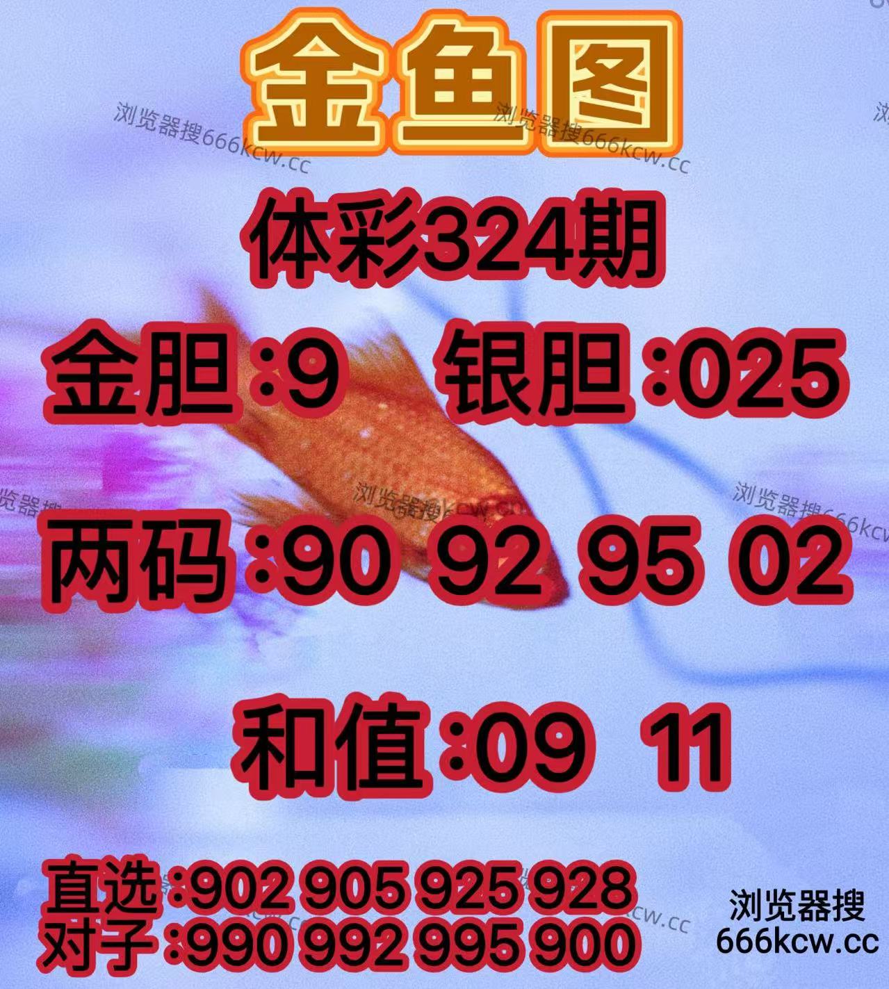 20251204 (18)