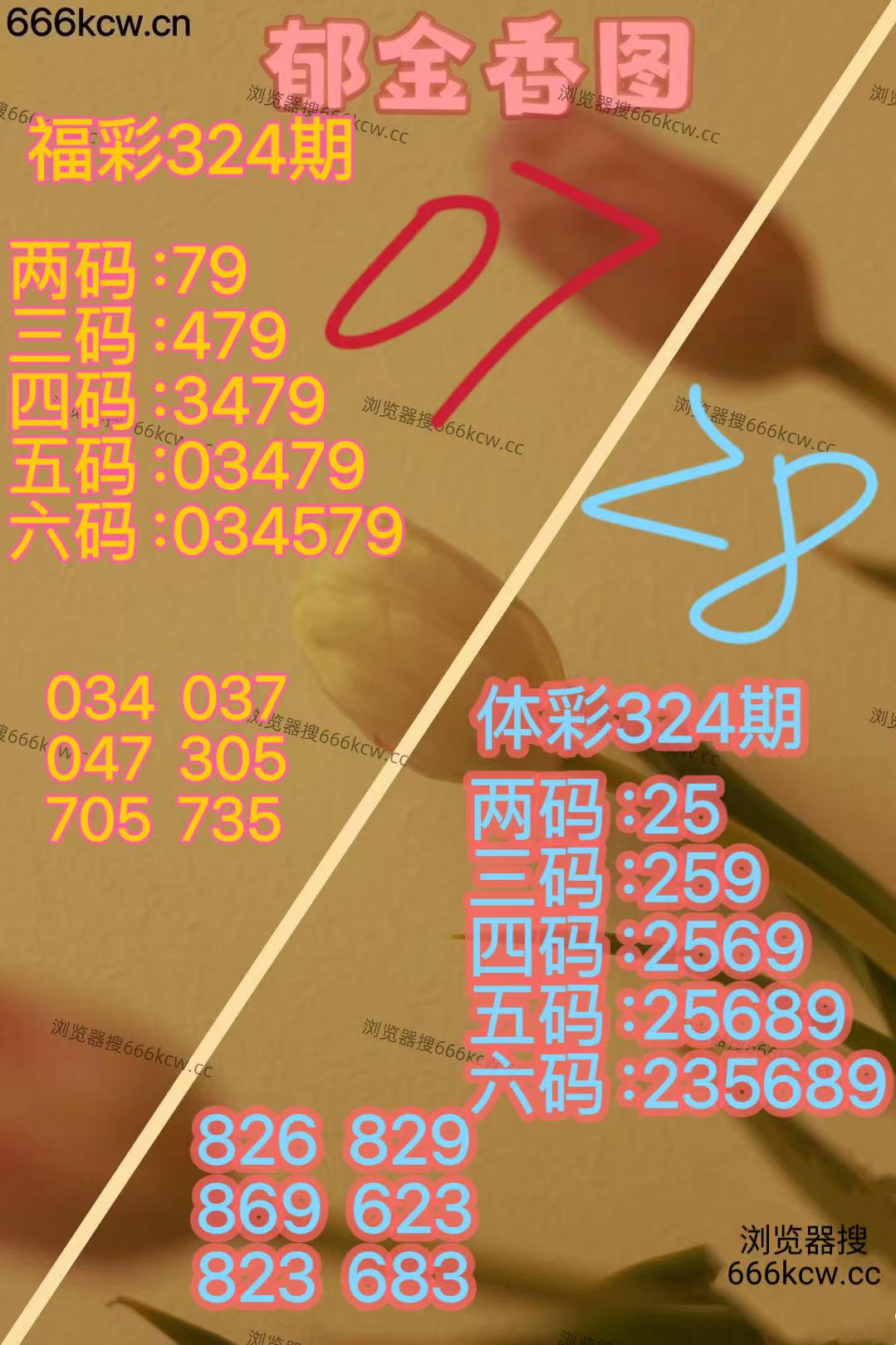 20251204 (42)