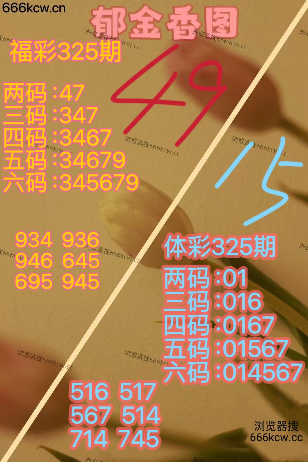 20251205 (24)