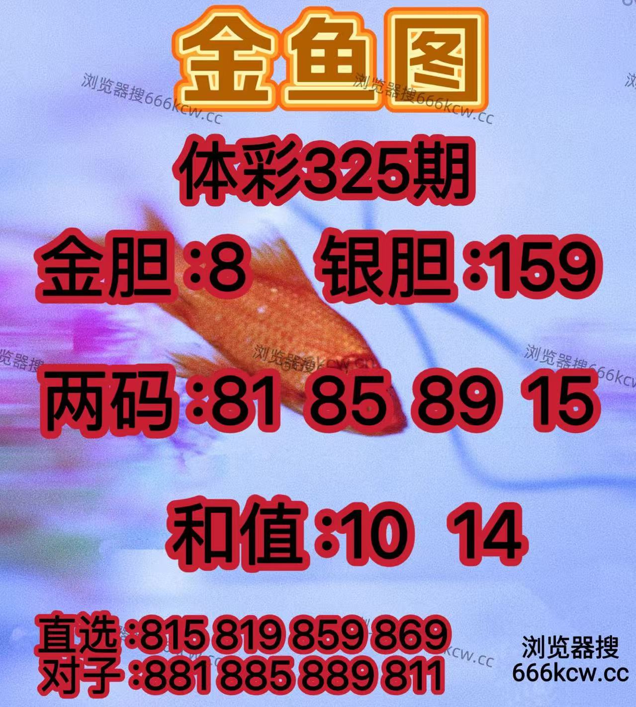 20251205 (19)