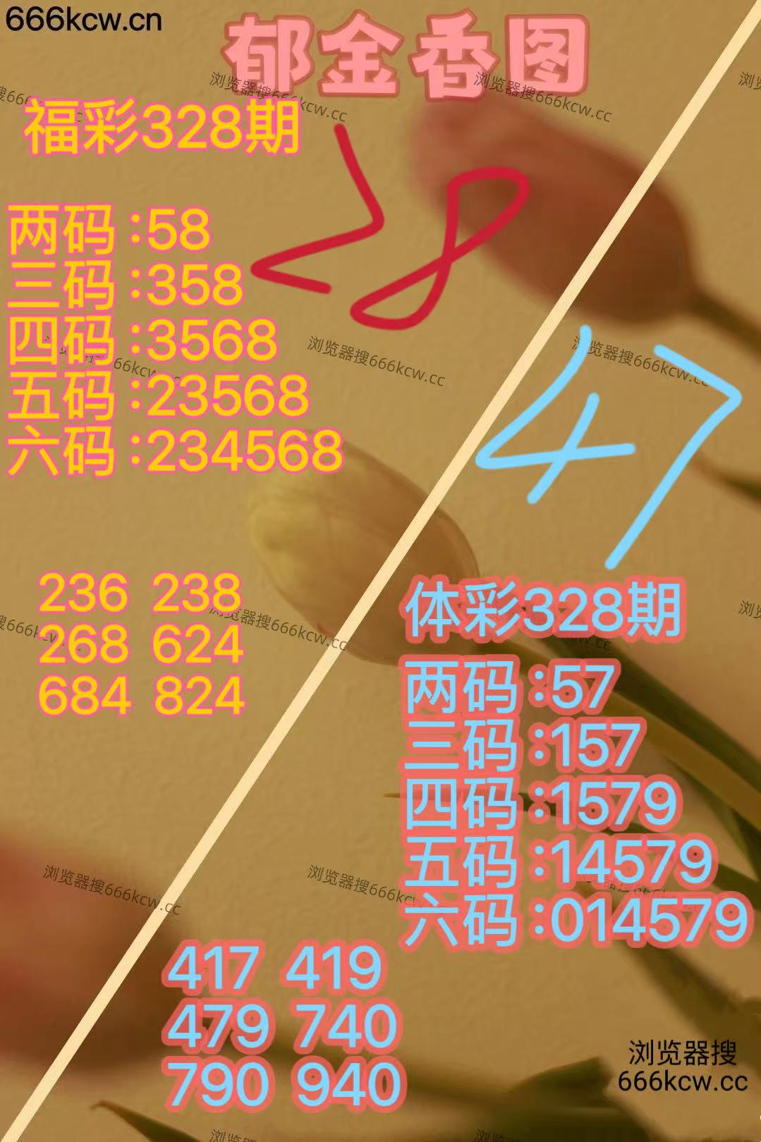 20251208 (23)