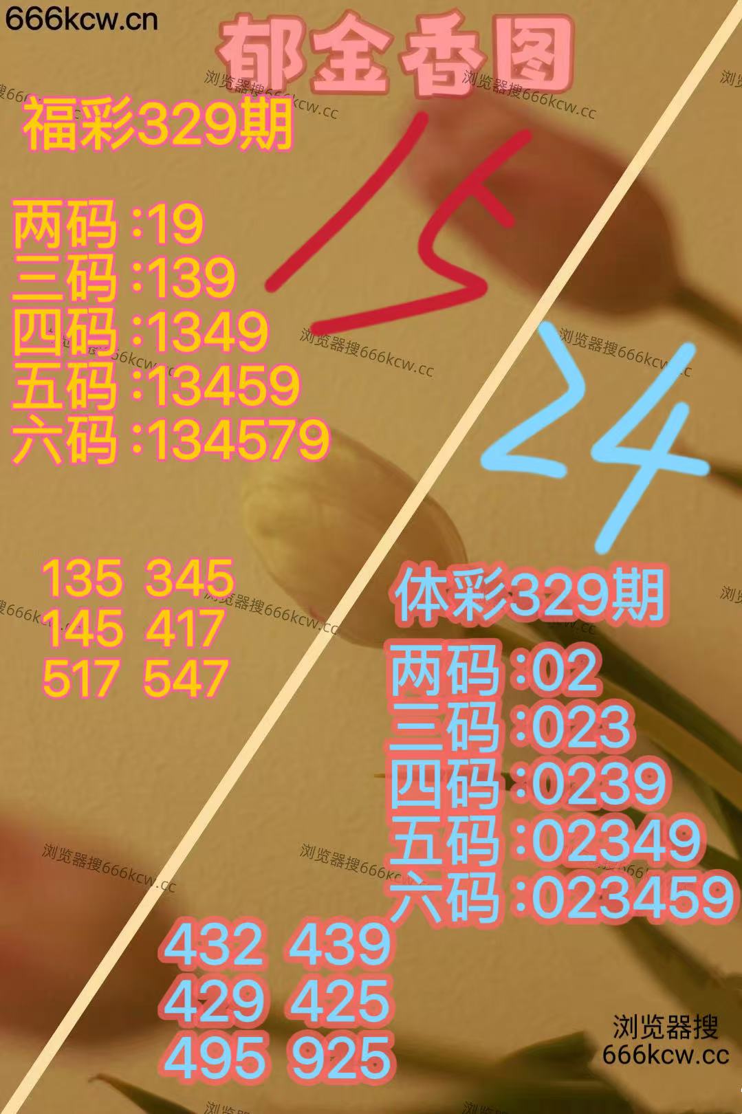 20251209 (39)