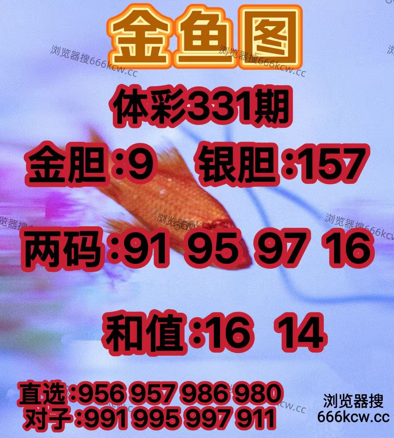 20251211 (8)