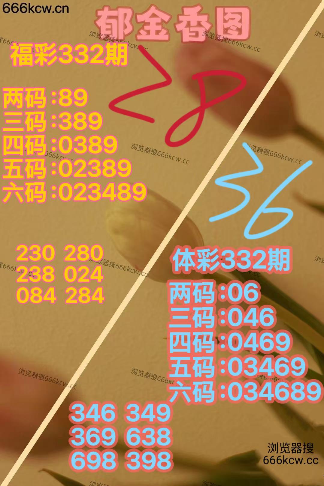 20251212 (23)