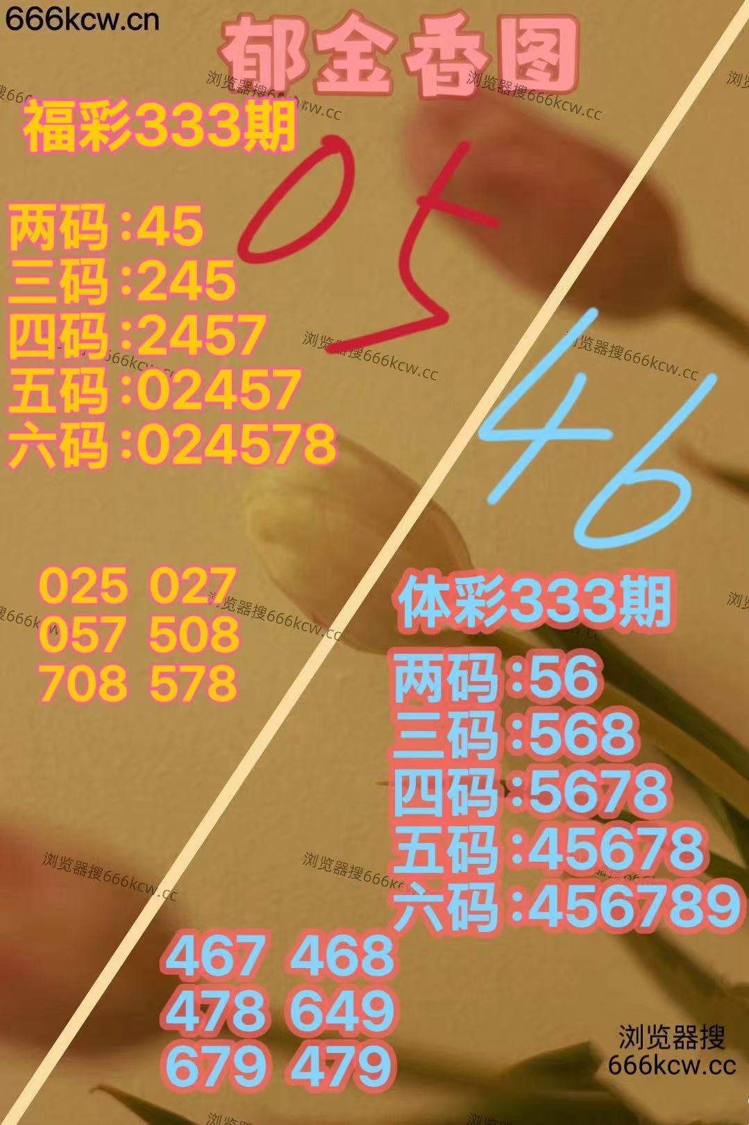 20251213 (37)