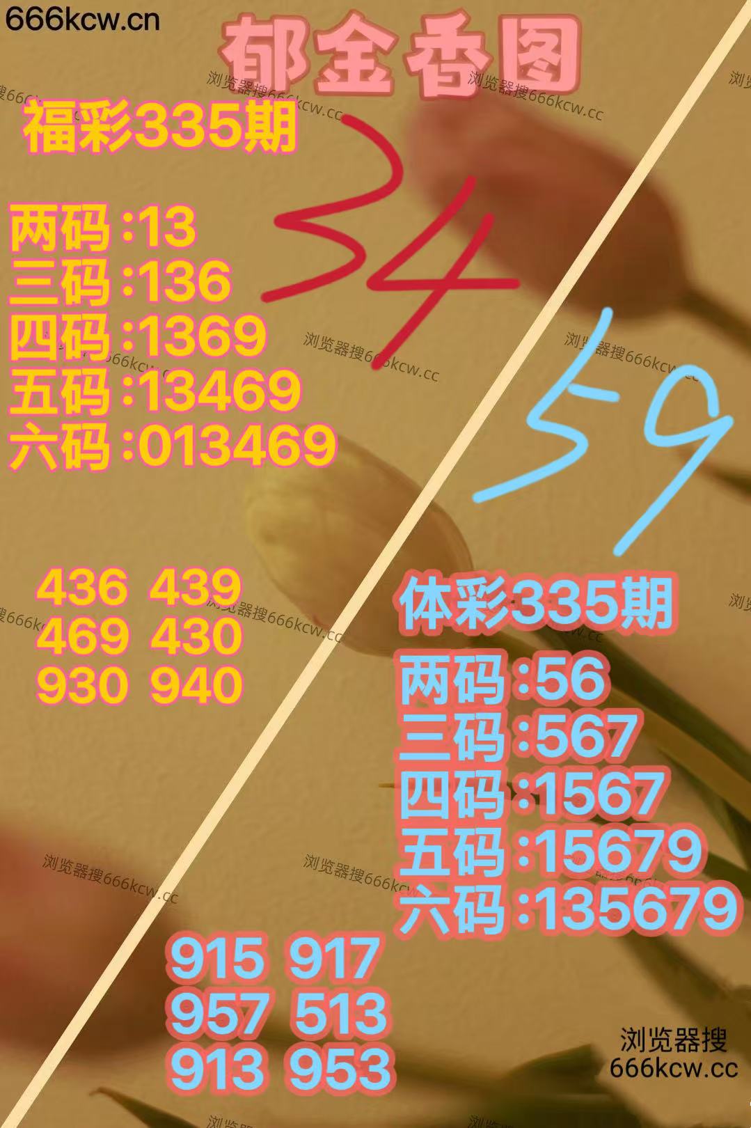 20251215 (23)