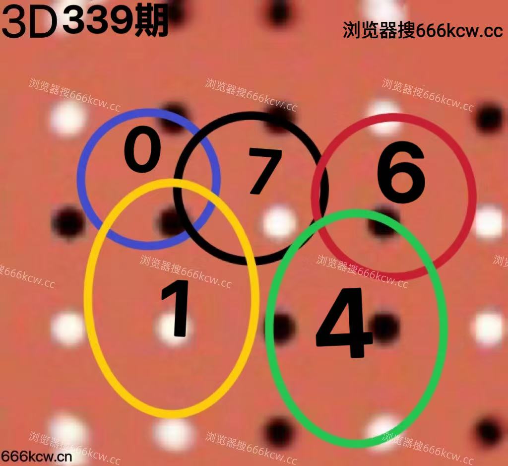 20251219 (6)