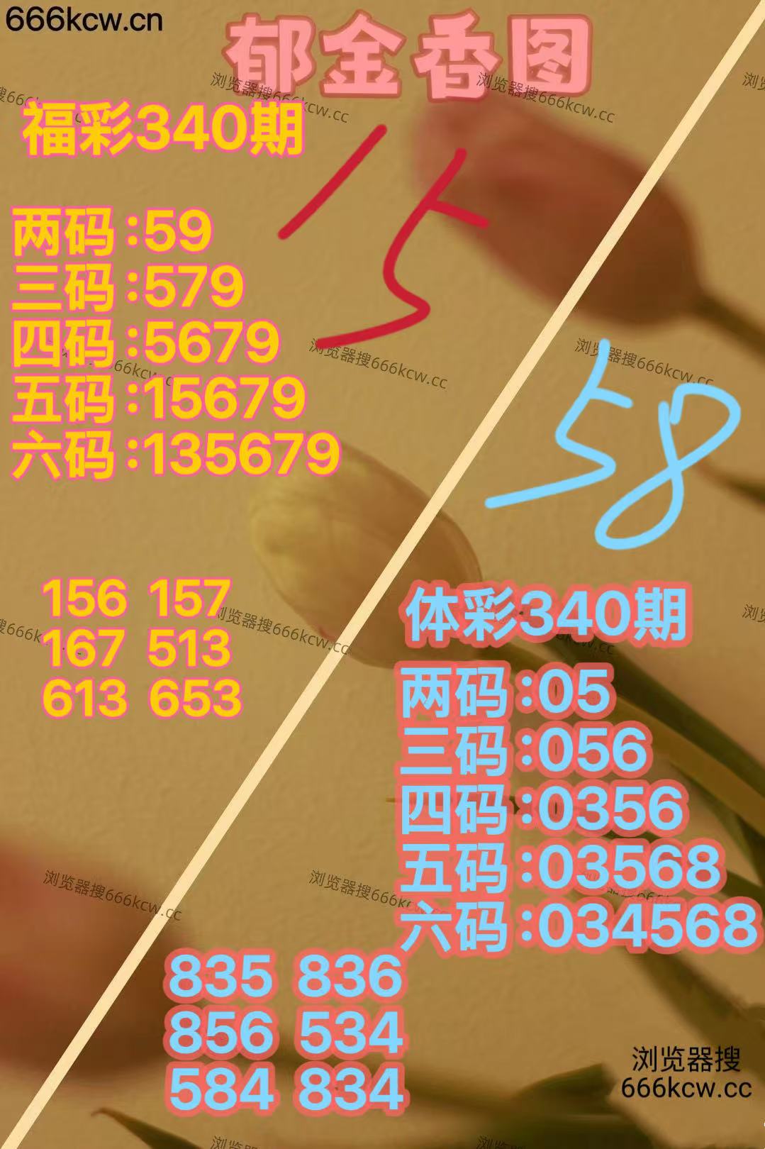 20251220 (23)