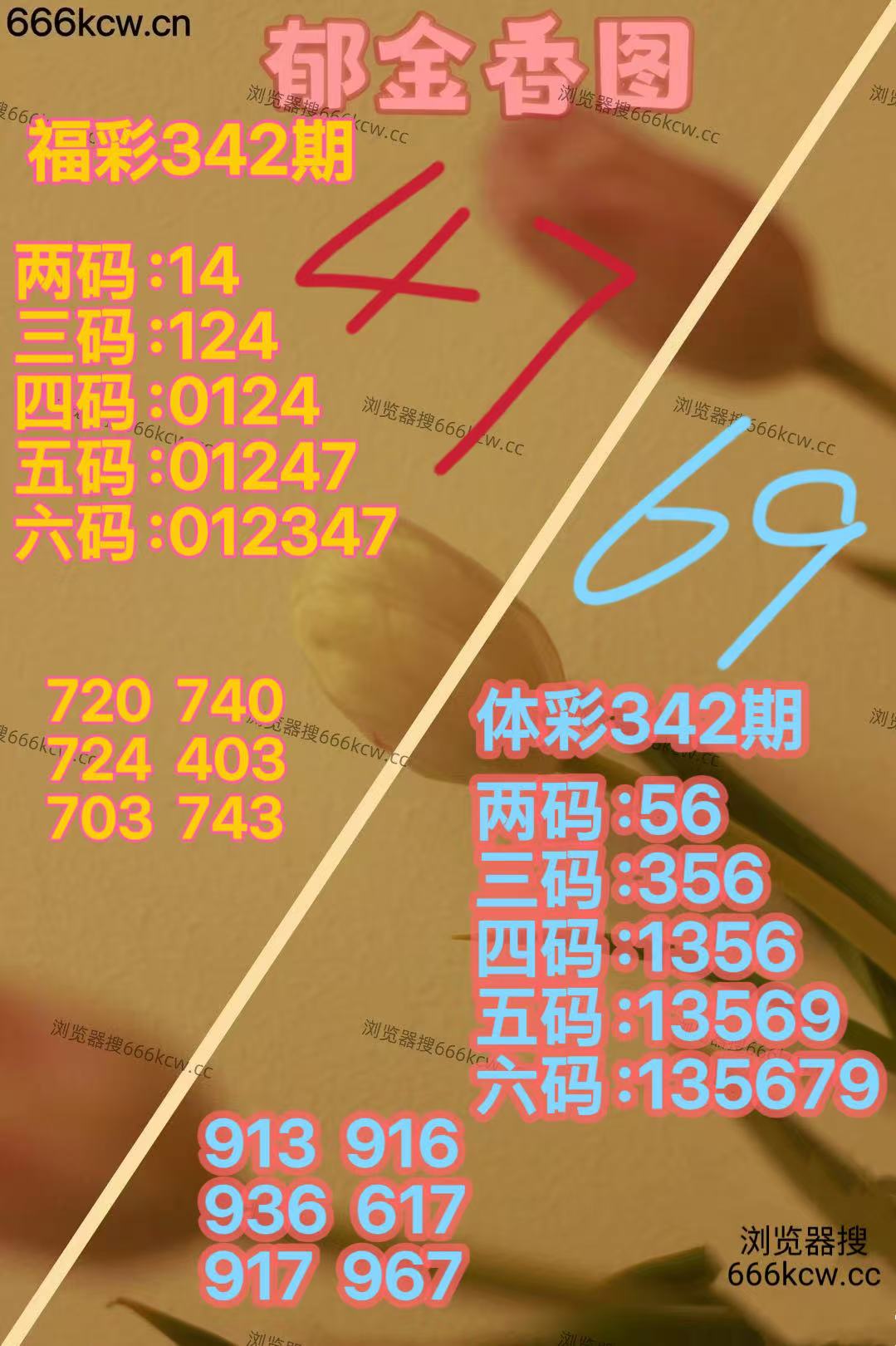 20251222 (22)
