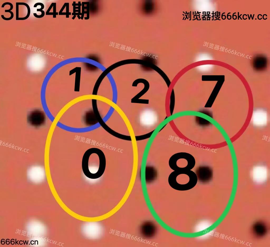 20251224 (6)
