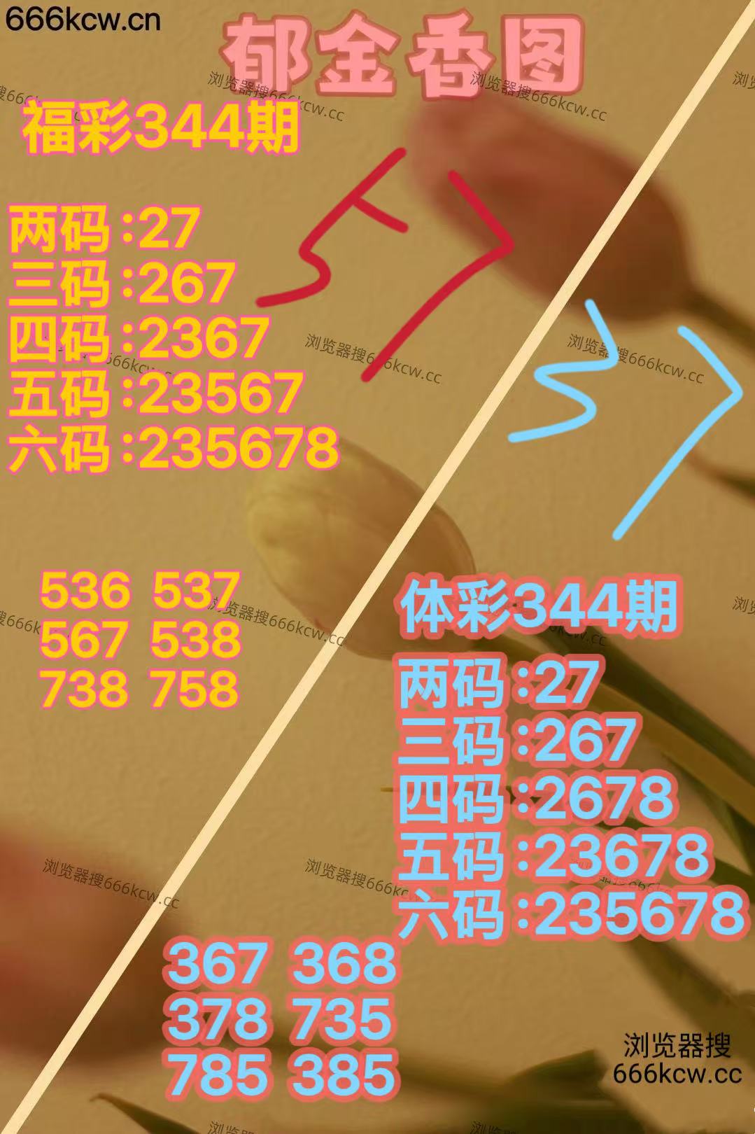20251224 (23)