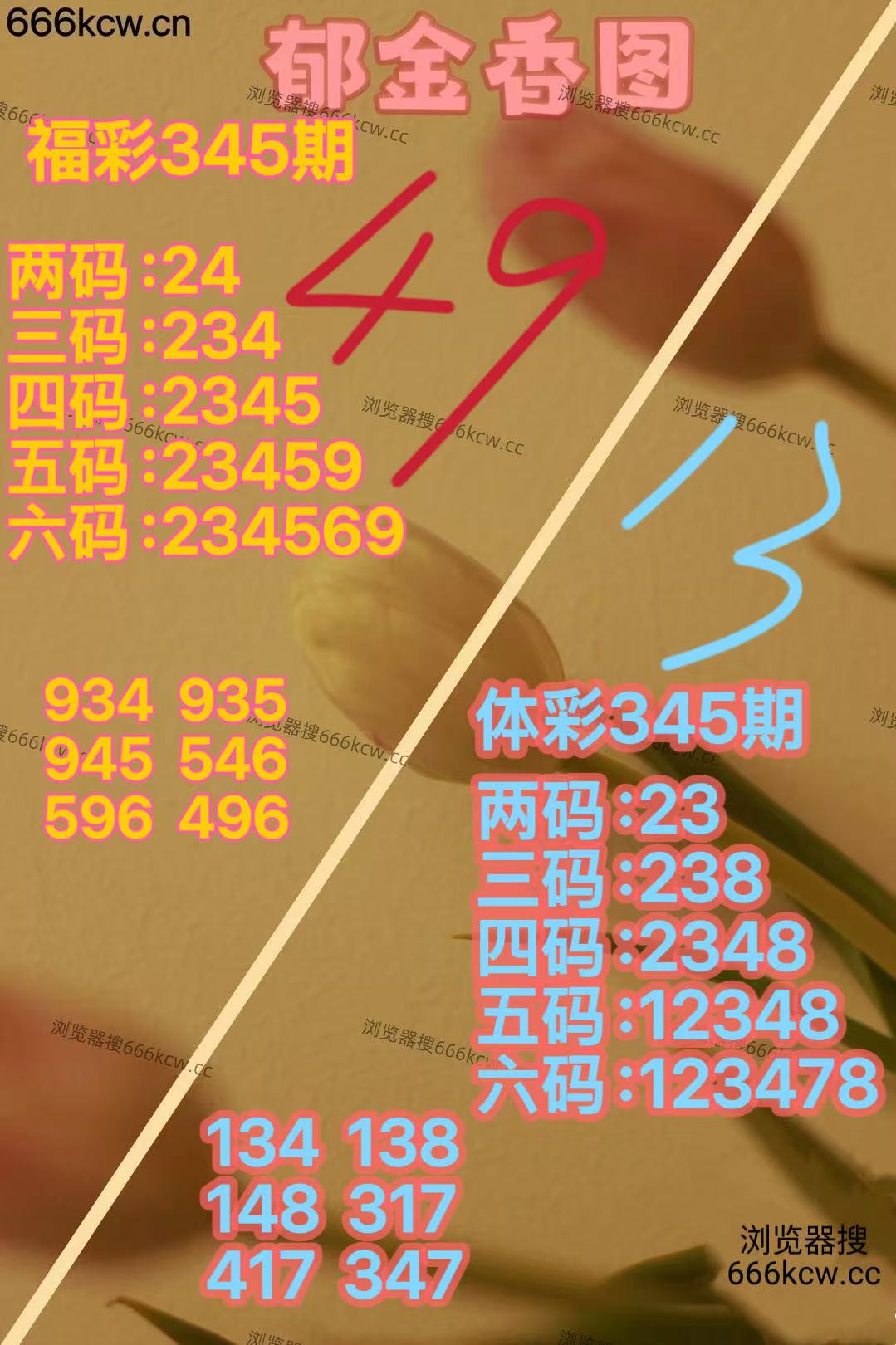 20251225 (23)