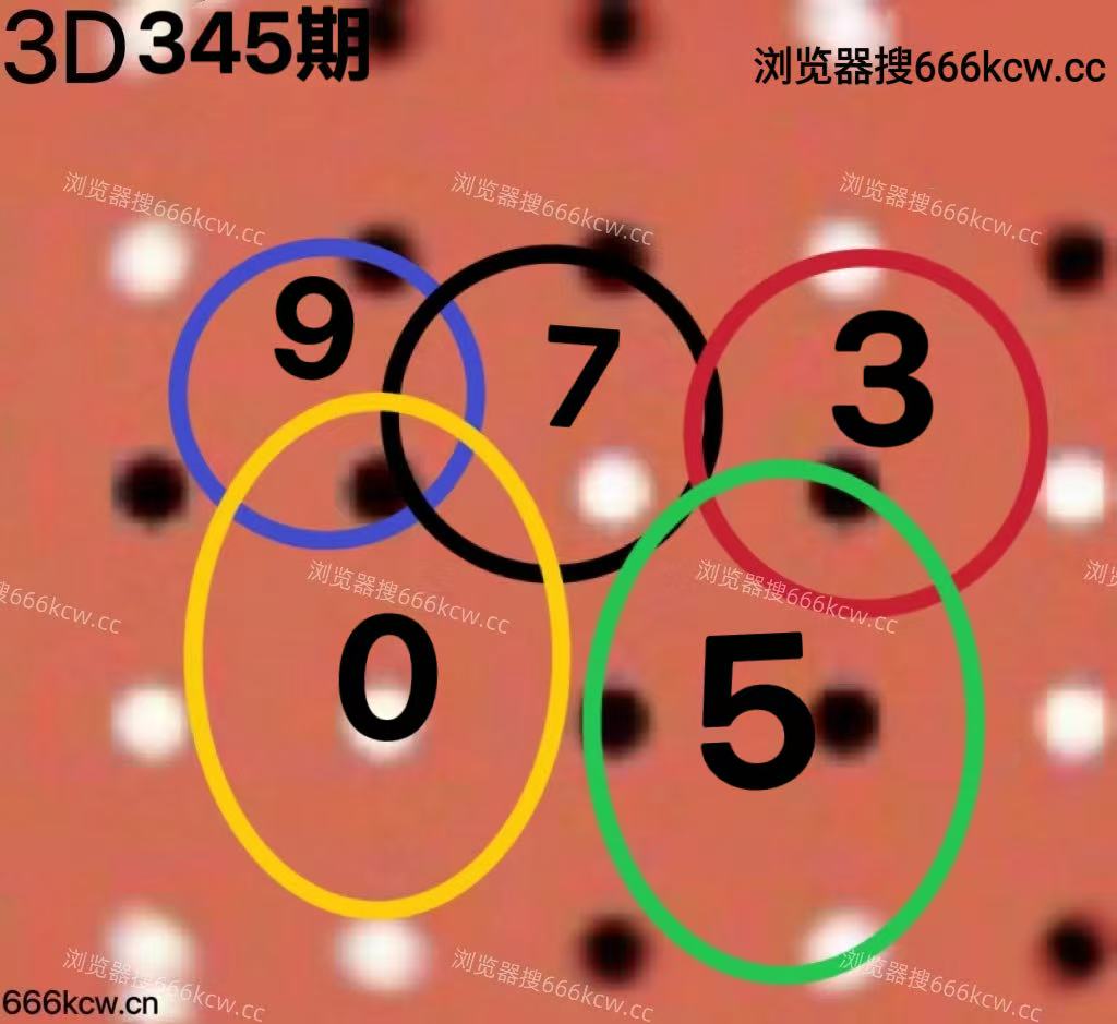 20251225 (6)