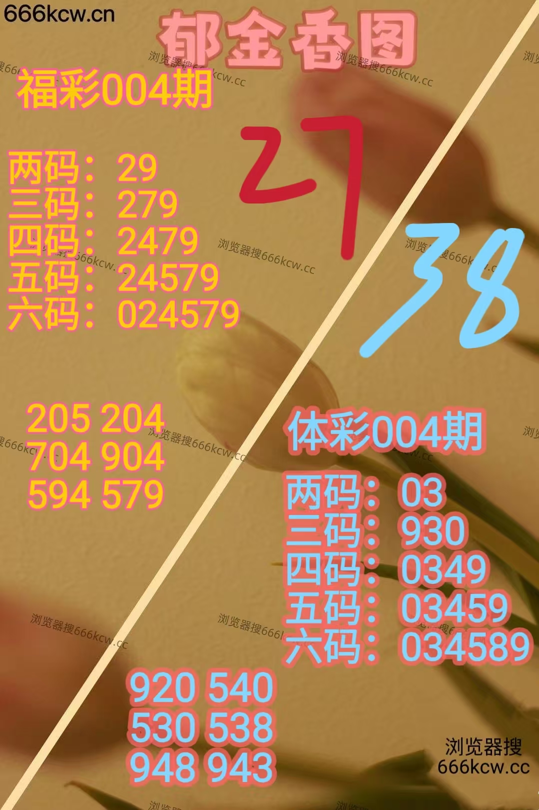 20260104 (32)