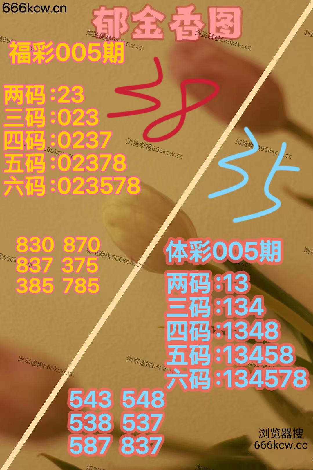 mmexport1767603956390