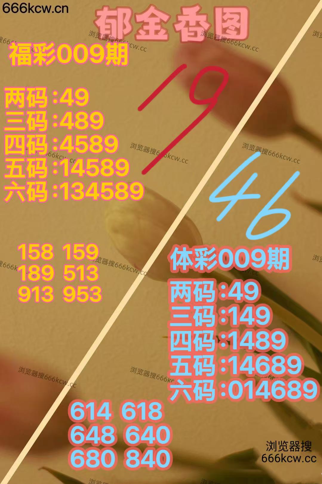 微信图片_20260109165105_5676_2