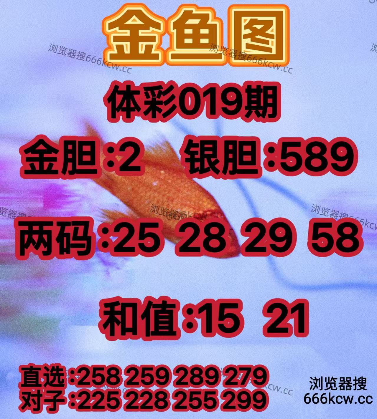 20260119 (8)