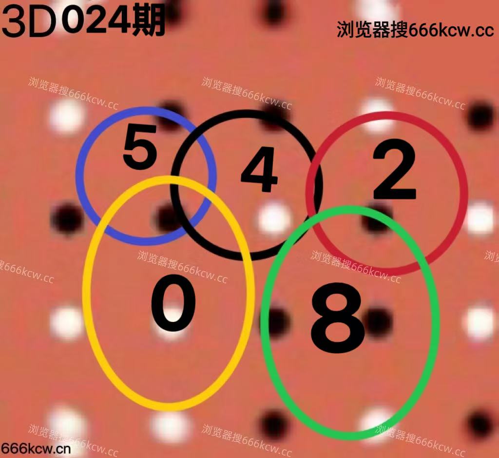 20260124 (6)