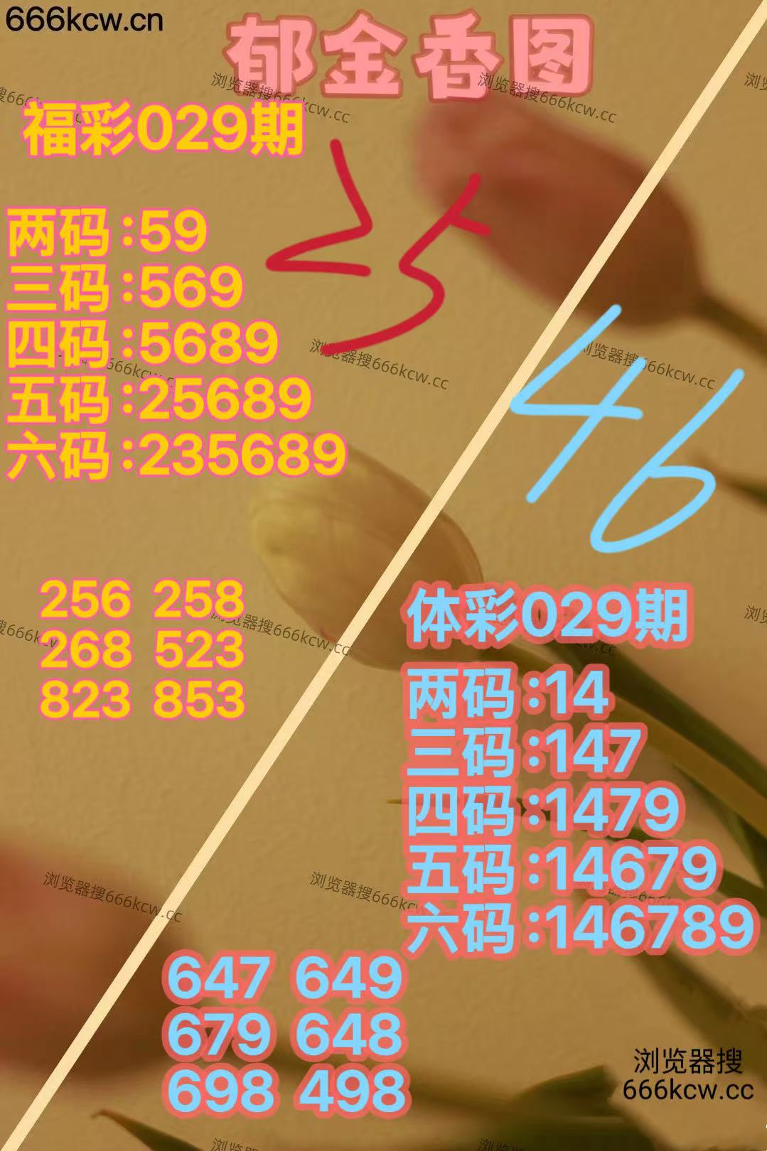 mmexport1769677880083
