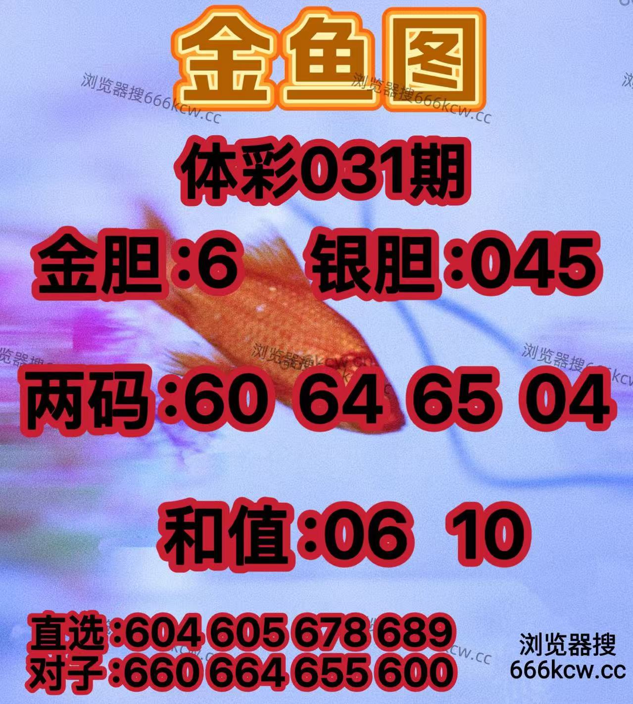 20260131 (8)