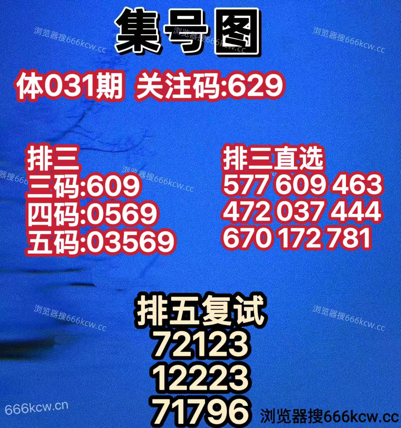 20260131 (10)