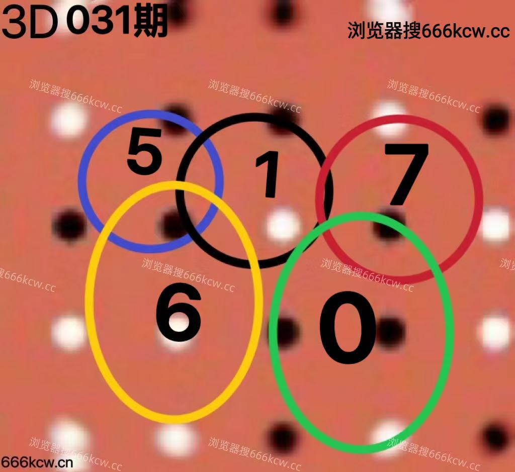 20260131 (6)
