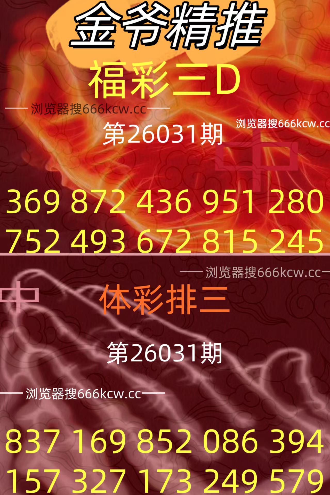20260131 (23)