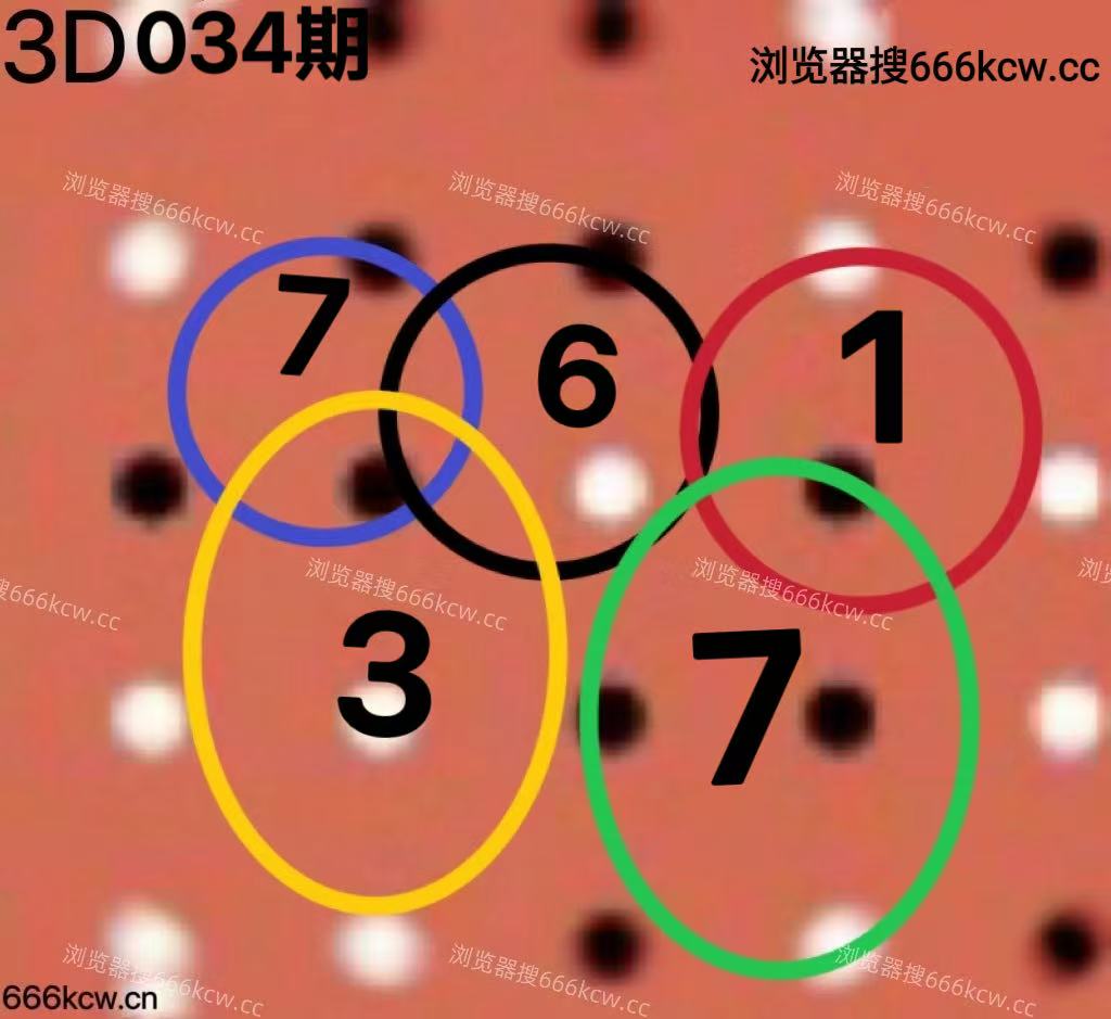 20260203 (6)