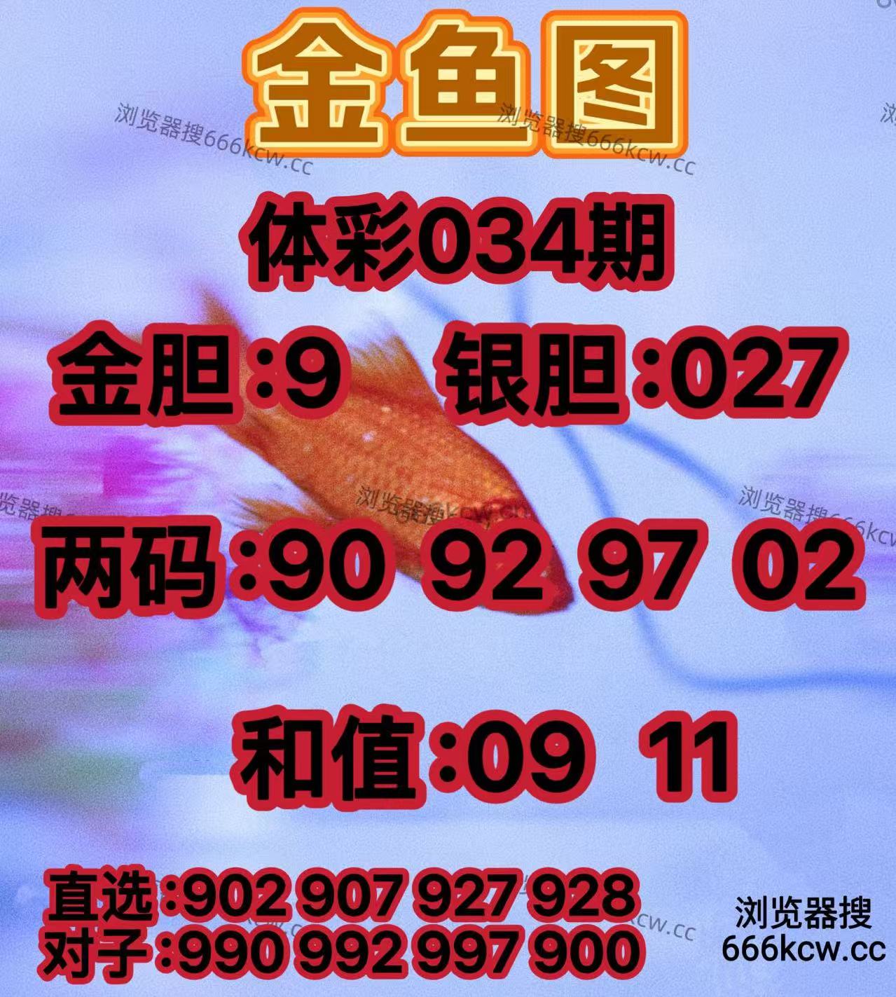 20260203 (8)