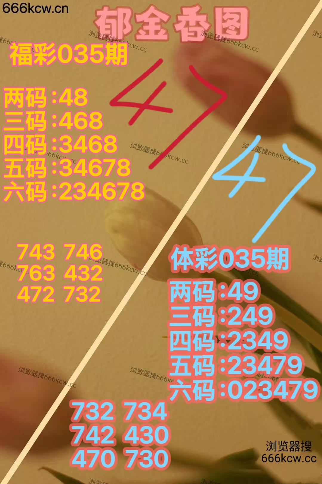 微信图片_20260204164516_1631_70