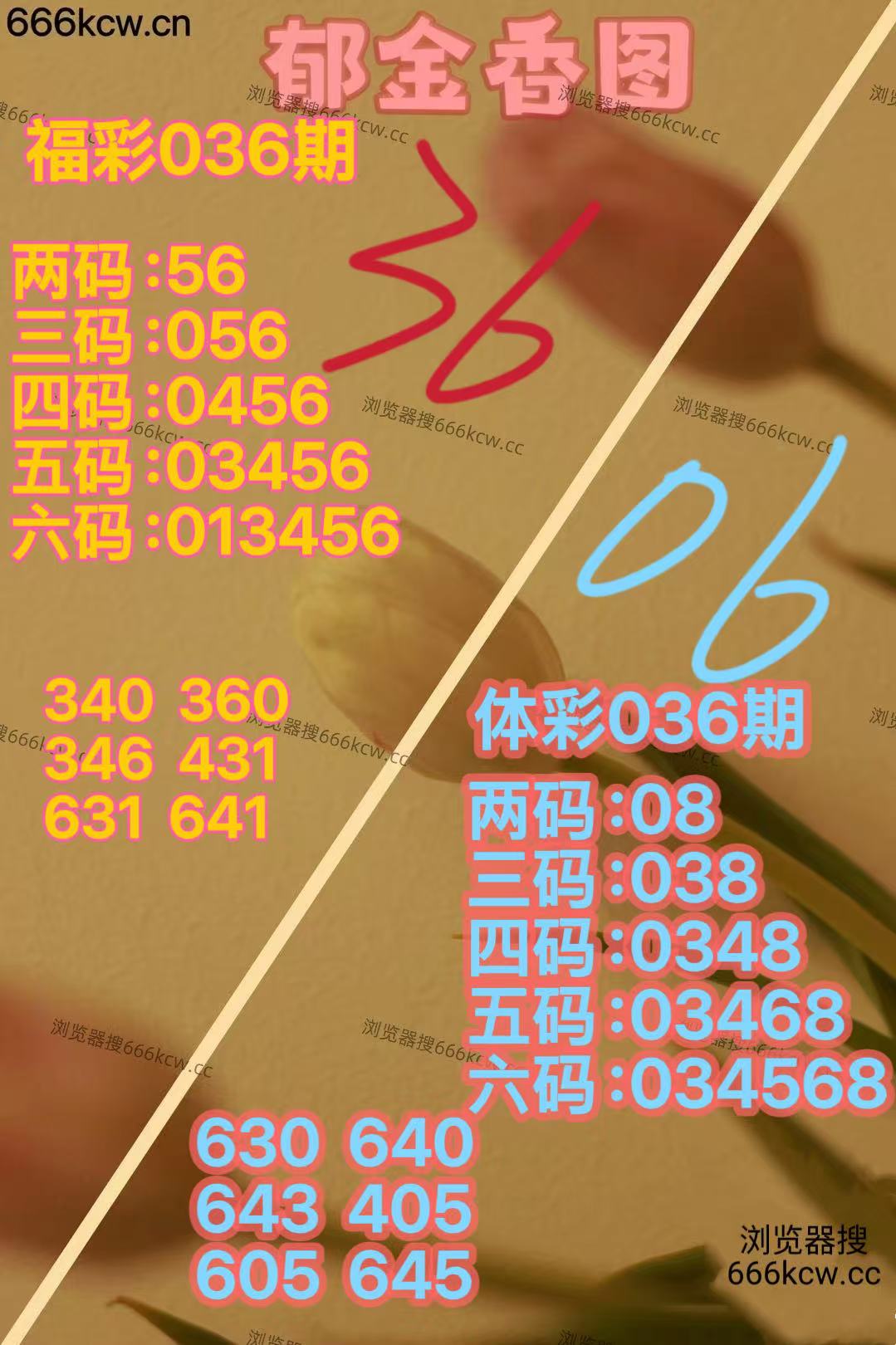 微信图片_20260205170635_1687_70