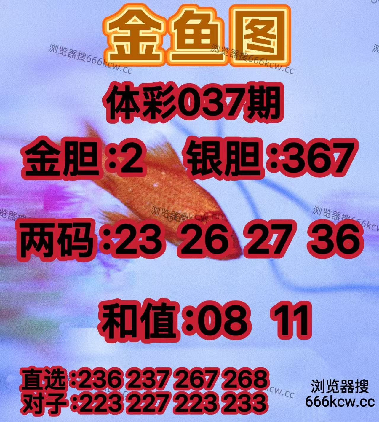 20260206 (8)