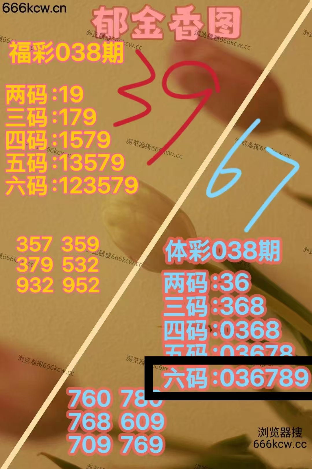 微信图片_20260207224706_873_9