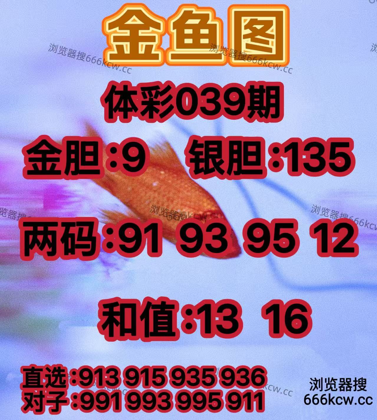 20260208 (7)