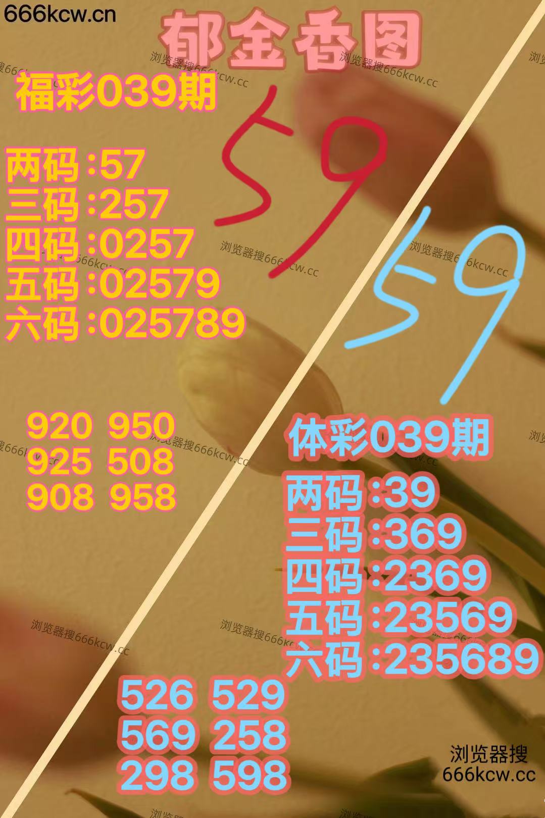 20260208 (22)